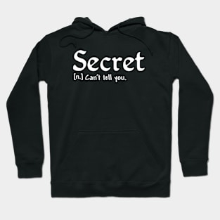 Secret definition - white text Hoodie